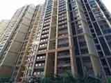 公明村委統建樓:蔣石花園帶管道天然氣