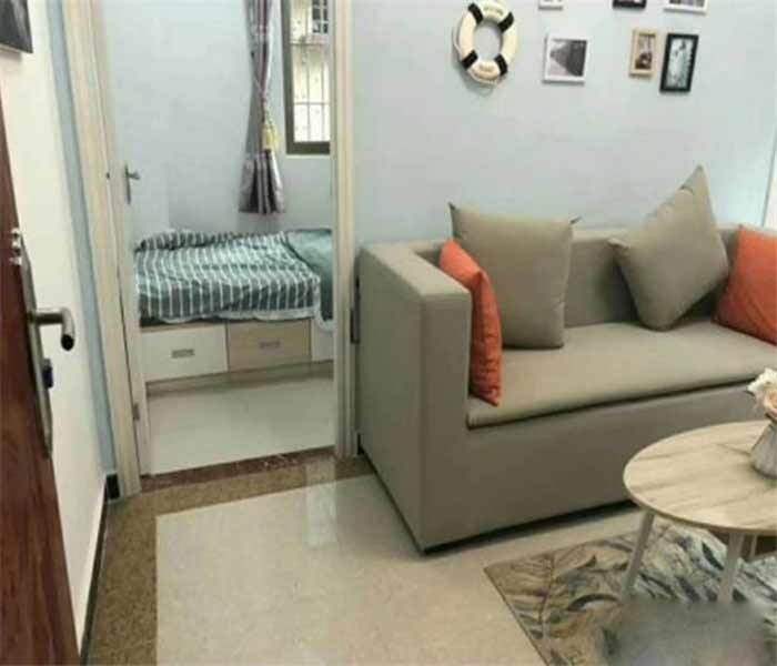 松崗集資房:藝麗家園