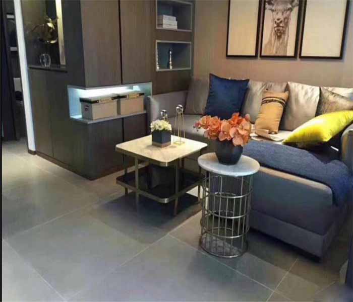 寮步小產權房:松湖一品