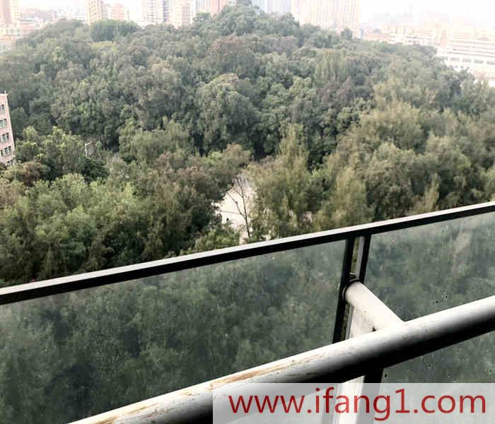 深圳寶安沙井小產權房信息網-綠林山景花園