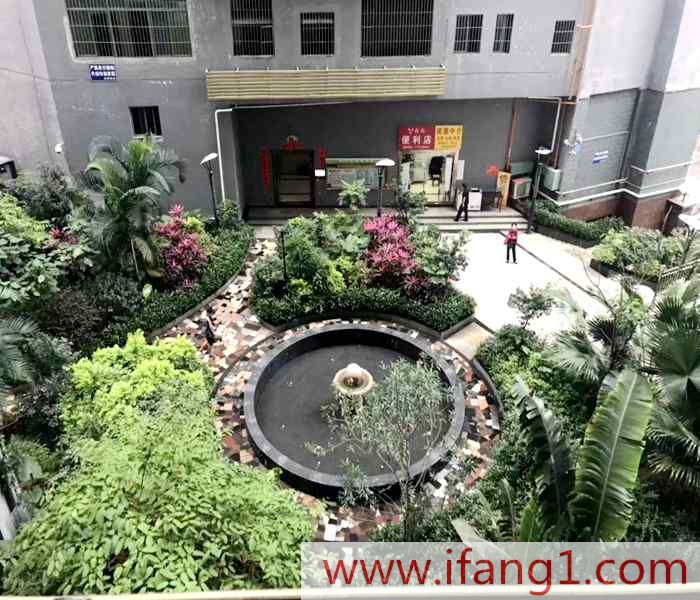 布吉村委統建樓價格出售