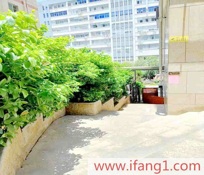 龍華最新小產權房